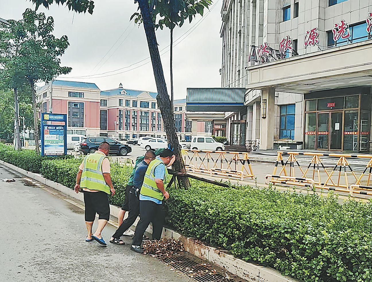 園林部門暴雨后全力排險(xiǎn)保安全